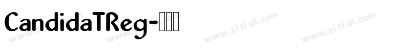 CandidaTReg字体转换