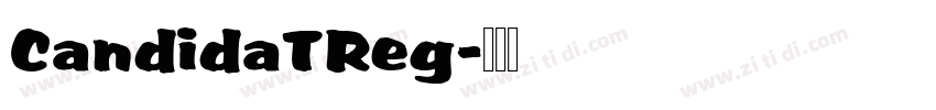 CandidaTReg字体转换