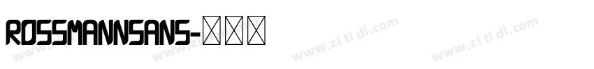 ROSSMANNSans字体转换
