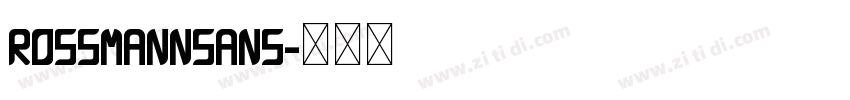 ROSSMANNSans字体转换