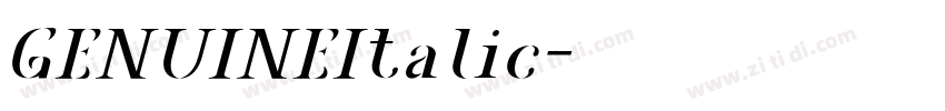 GENUINEItalic字体转换 GENUINEItalic字体转换