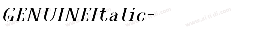 GENUINEItalic字体转换 GENUINEItalic字体转换