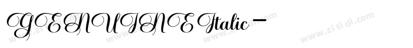 GENUINEItalic字体转换 GENUINEItalic字体转换