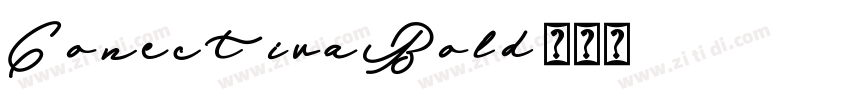 ConectivaBold字体转换