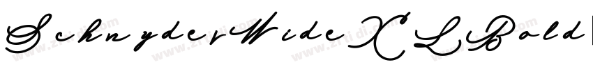 SchnyderWideXLBold字体转换