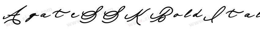 AgateSSKBoldItalic字体转换