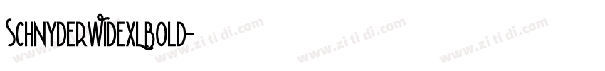 SchnyderWideXLBold字体转换