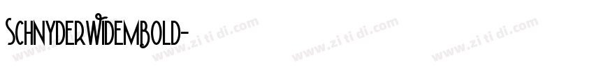 SchnyderWideMBold字体转换 SchnyderWideMBold字体转换