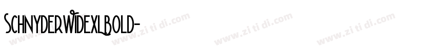 SchnyderWideXLBold字体转换