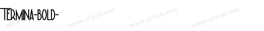 Termina-bold字体转换