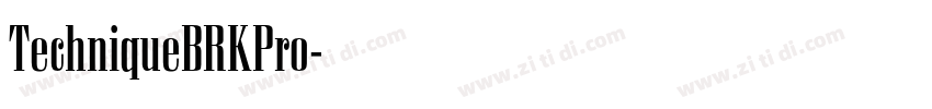 TechniqueBRKPro字体转换