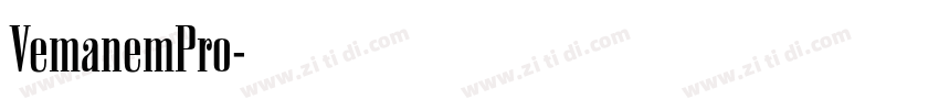 VemanemPro字体转换