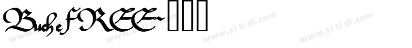 BucheFREE字体转换