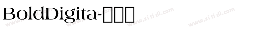 BoldDigita字体转换