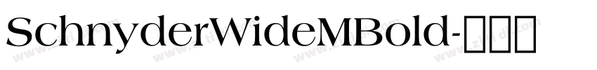 SchnyderWideMBold字体转换 SchnyderWideMBold字体转换