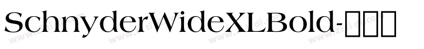 SchnyderWideXLBold字体转换