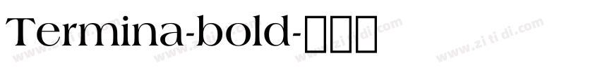 Termina-bold字体转换