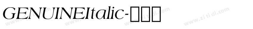 GENUINEItalic字体转换 GENUINEItalic字体转换