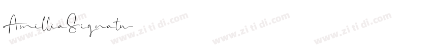 AmilliaSignatu字体转换