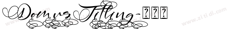 DomusTitling字体转换
