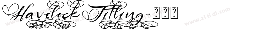 HavelockTitling字体转换