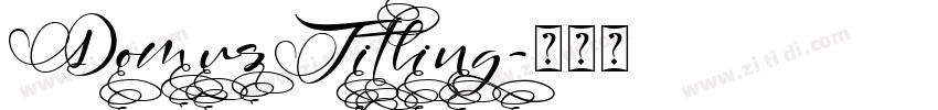 DomusTitling字体转换