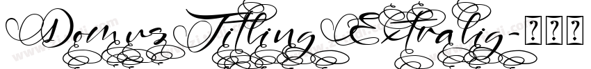 DomusTitlingExtralig字体转换