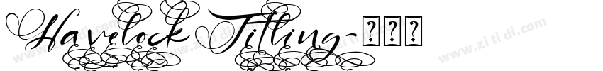 HavelockTitling字体转换