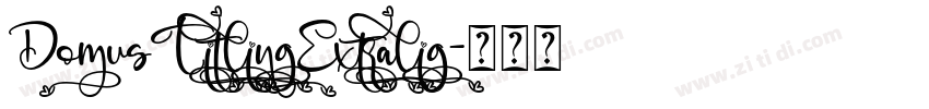 DomusTitlingExtralig字体转换