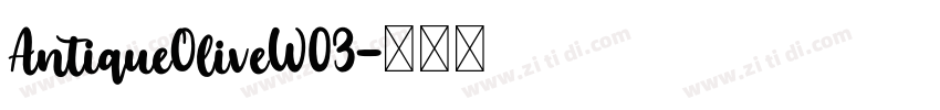 AntiqueOliveW03字体转换