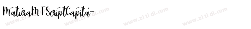 MaturaMTScriptCapita字体转换