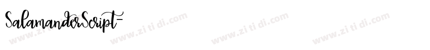 SalamanderScript字体转换