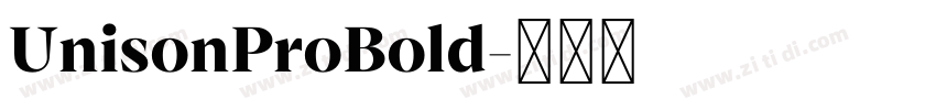 UnisonProBold字体转换 UnisonProBold字体转换