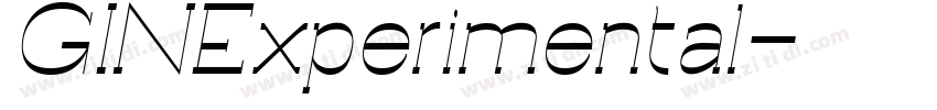 GINExperimental字体转换