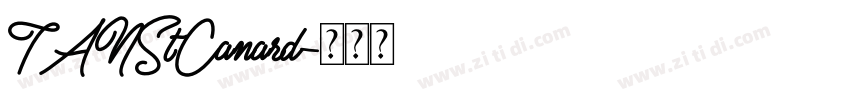 TANStCanard字体转换