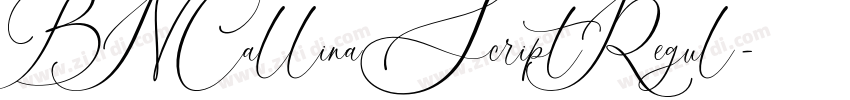 BNCallinaScriptRegul字体转换 BNCallinaScriptRegul字体转换