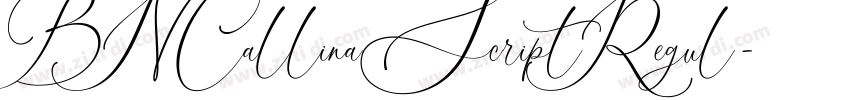 BNCallinaScriptRegul字体转换 BNCallinaScriptRegul字体转换