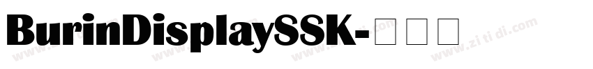 BurinDisplaySSK字体转换
