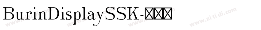 BurinDisplaySSK字体转换