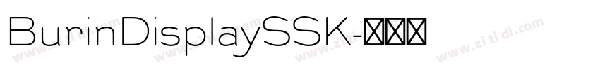BurinDisplaySSK字体转换