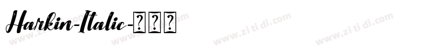 Harkin-Italic字体转换