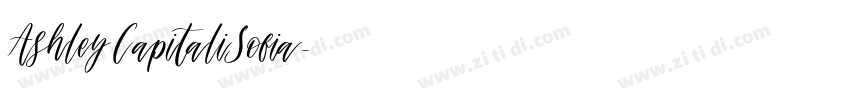 AshleyCapitaliSofia字体转换