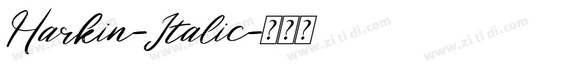 Harkin-Italic字体转换
