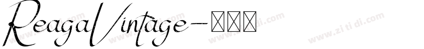 ReagaVintage字体转换