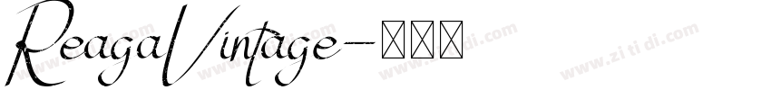 ReagaVintage字体转换
