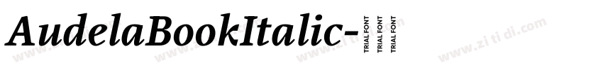 AudelaBookItalic字体转换