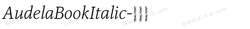 AudelaBookItalic字体转换