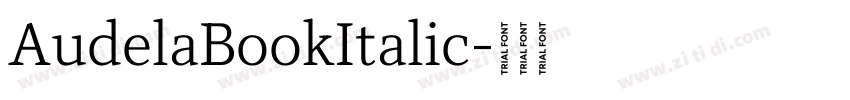 AudelaBookItalic字体转换