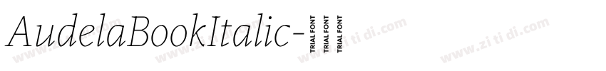 AudelaBookItalic字体转换