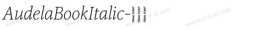 AudelaBookItalic字体转换